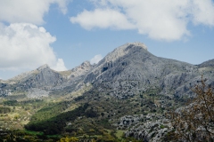 1-Principal-y-miniatura